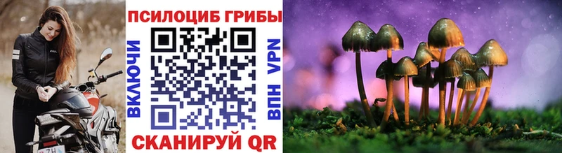 Псилоцибиновые грибы Cubensis Онега